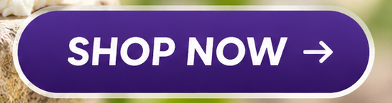 shop now balmorex pro